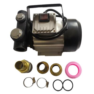 Mini Kerosene 200w Diesel Oil Pumps Drum Dispenser Electric Fuel Dc 12V