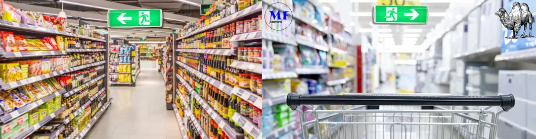 Luz de emergencia antipánico LED para salida de emergencia IP66 para hotel, verde, centro comercial, estación de tren, escuela, supermercado