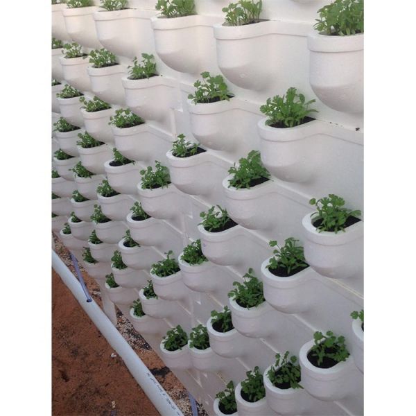 IGreen New Designed Wall Type Hydroponic Vertical Growing Systems