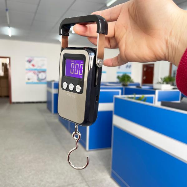 Soporte Personalizado WH-A35 Báscula de Mano Bluetooth 60kg de WeiHeng para Rendimiento