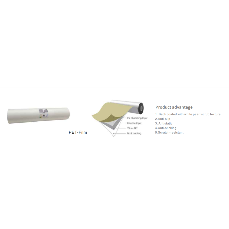 30cm 40cm 60cm 120cm DTF Pet Film Roll Hot Peel 75um DTF Pet Transfer Film