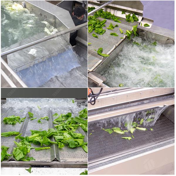Double Vortex cleaning production lineOrange Leaves Vegetables sward beans soybeans green beans chickpeas beans red beans mung beans green peas Fruit Vegetable FOOD processing production Machine