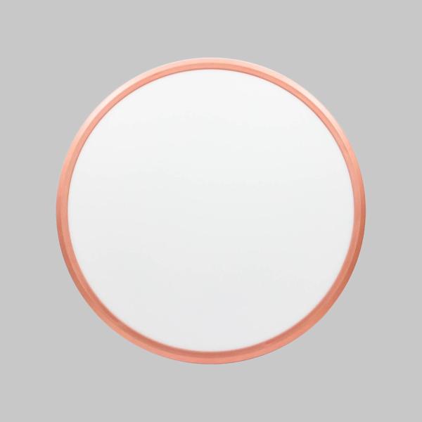 Surface Mounted Modern LED Kitchen Ceiling Lights With Long Operating Life