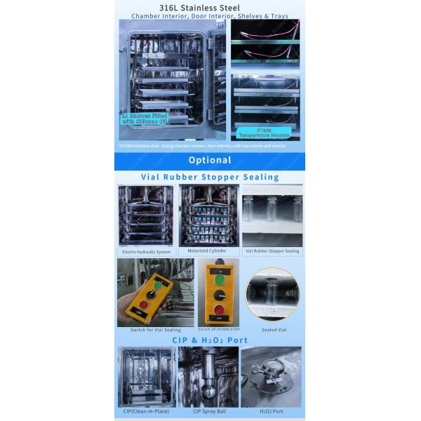 300Kg Freeze Dryer In Pharmaceutical Industry Small Lyophilizer