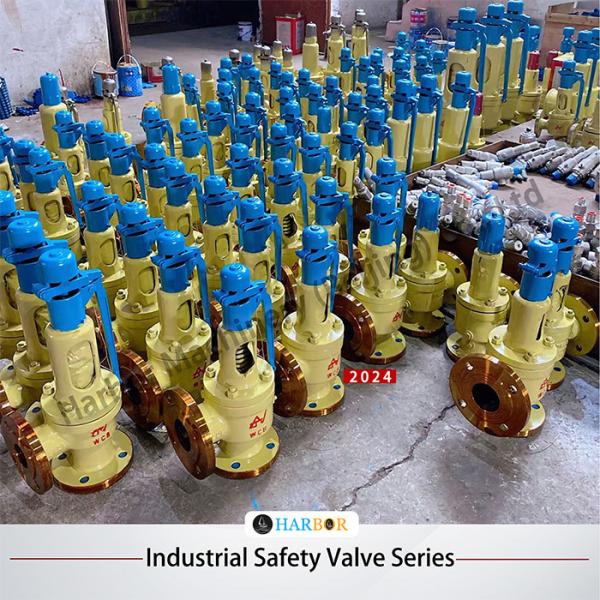 ISO9001 2008 CE Certified Cast Steel Enclosed Safety Valve A42Y/A48Y-16C for Industrial