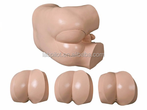 Advanced DRE Nursing Training Simulator Clinical Skills Model for Rectal Touch Examination
