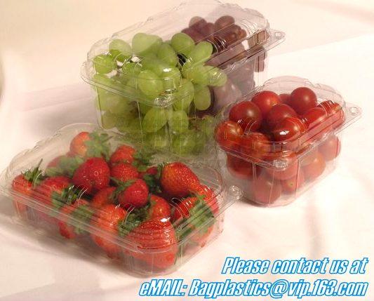 Coffee, Beans,Candy, Sugar, Rice, Baking, Cookie, Tea, Nuts, Dried Fruit, Dried Flowers, Powder, Snack, Dried Food Stora