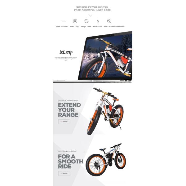 Fat Tire 2 Wheel Electric Bike 26 Inch Suspension Top High Rate Motor 48V 350W