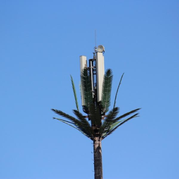 Microwave Mobile Telecom Monopole Fake Palm Tree Cell Tower Camouflaged Date Communication Tower