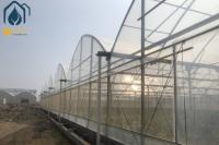 Multi Span Agriculture Greenhouse For Sustainable Crop Cultivation