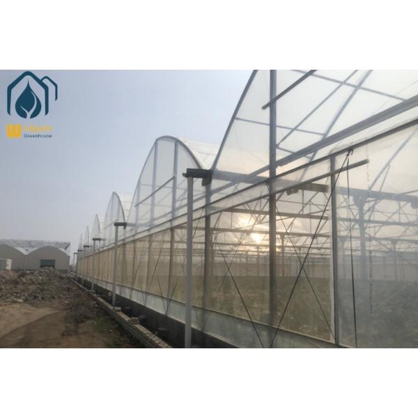 Multi Span Agriculture Greenhouses Sustainable Crop Cultivation Greenhouse
