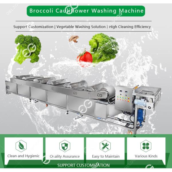 Industrial Frozen Broccoli Cauliflower Vegetable Washing Cleaning Production Line