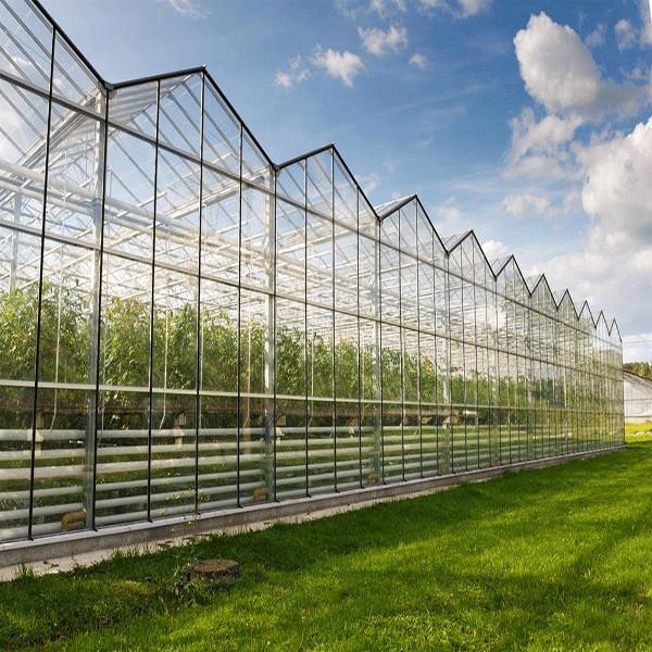 Clear Roofing Polycarbonate Panels Sheet For Greenhouse Construction