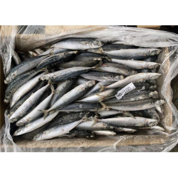 Задвижка Seafrozen 90g 100g кошелькового невода вокруг рыб ставриды