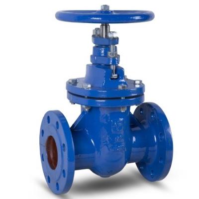 DN100 ferro fundido oval assentado metal do corpo das válvulas de porta do PN 10 e 16 dentro do parafuso