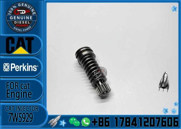 Diesel Fuel Injection Pump Plunger 1w6541 4p9830 9h5797 6n7527 Plunger Barrel 7W5929 Element for CAT 3304 3306 Diesel En