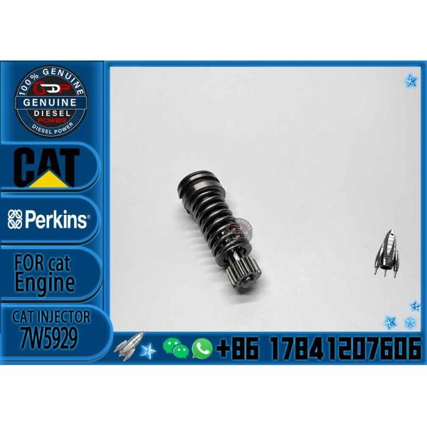 Diesel Fuel Injection Pump Plunger 1w6541 4p9830 9h5797 6n7527 Plunger Barrel 7W5929 Element for CAT 3304 3306 Diesel En