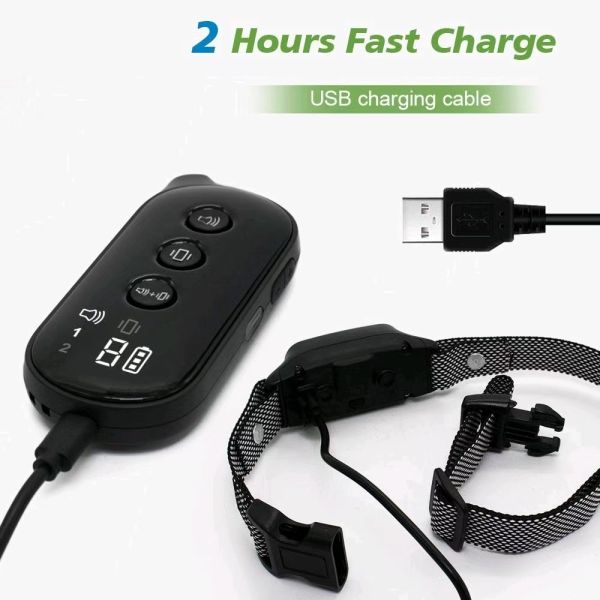Rechargeable Eco-Friendly Nylon Dog Agility Training Collar Waterproof Walkie Talkie Remote Batteries Cute Modern Fashion Style
