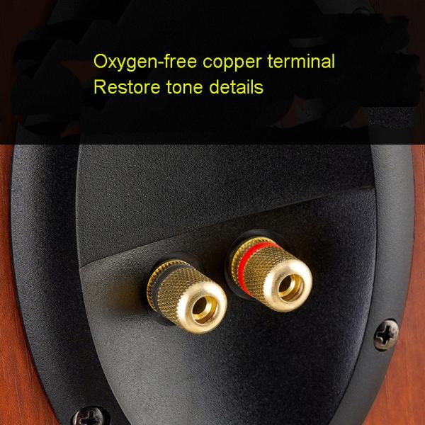 Oradores de alta fidelidade coaxiais da estante de 12 polegadas, orador Audiophile 220W de Bluetooth