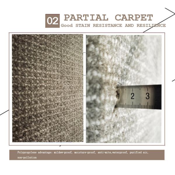 Высокая плотность высоты кучи PP половика зоны первоначального стиля природы крытая высокая