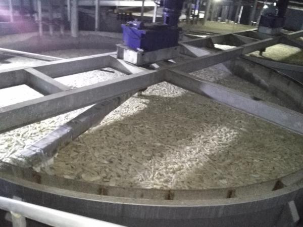 Equipamento de gelatina de aço inoxidável para planta de lavagem de couro personalizado