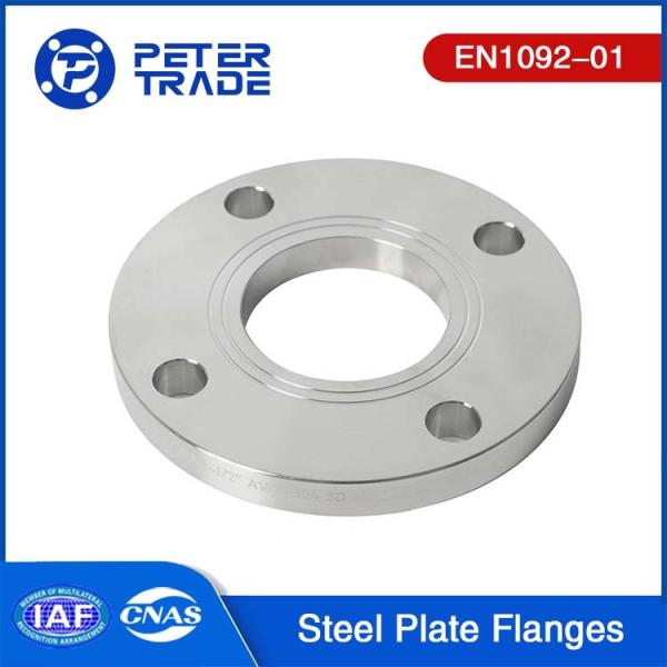 EN1092-01 Standard TYPE 01 Stainless Steel Plate Flange SS304 SS316L PN 2.5 PLFF