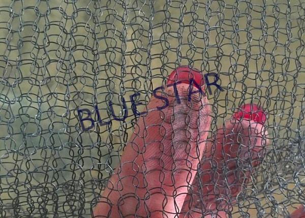 Pure Titanium Filter Knitted Mesh 0.2 / 0.25mm Wire For Sea Water Desalination / Air Filter