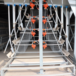 600 kg Capacity Poultry Feeding Cart with DC Motor and Hot-Dip Galvanized Steel for Chicken Farming