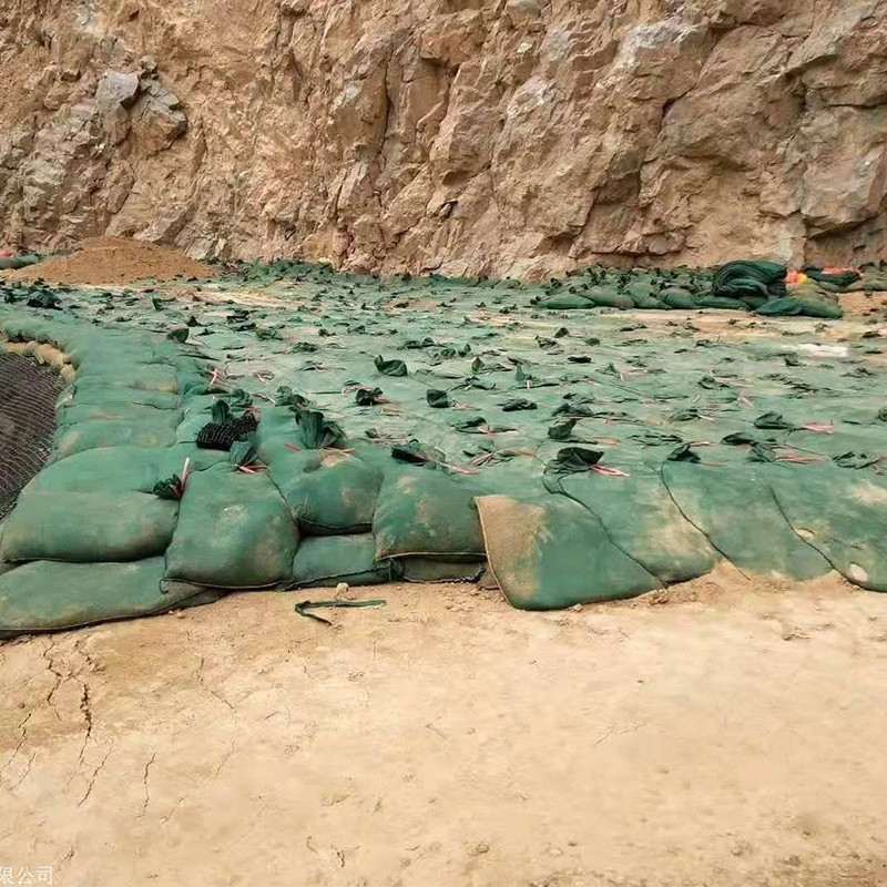Полиэстер не сплетенное Geotube Eco Geobags Geotextile морской дамбы дружелюбное