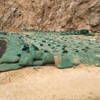 Poliéster Geotube não tecido Eco de Geobags do geotêxtil da paredão amigável