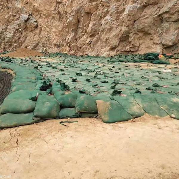 Sacs de sable géotextiles non tissés Sacs de culture géotextiles pour les plantations