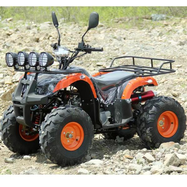 110cc 125cc ATV Affordable Automatic Chain Drive with Unequipped Differential Lock