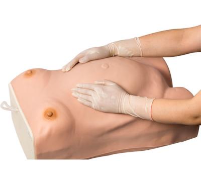 Maternity Pelvic Measurement Medical Training Manikin