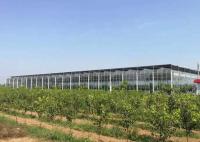 Estufa de vidro agrícola do grande sistema solar do picovolt para plantar vegetais