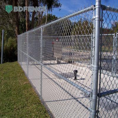1 Inch Galvanize Hook Mesh Cheap Chain Link Fencing Farm Fence