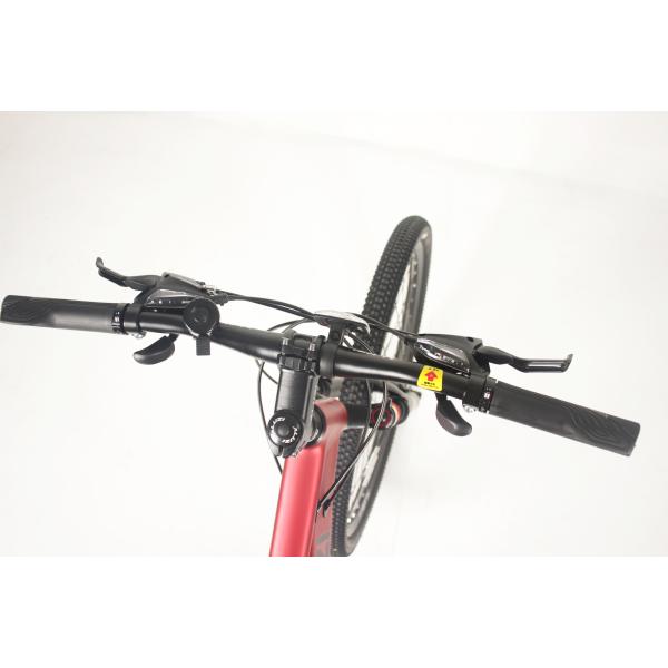 21 Speed Adult Mountain Bike Carbon Steel Dual Disc Brake Shimano Tourney
