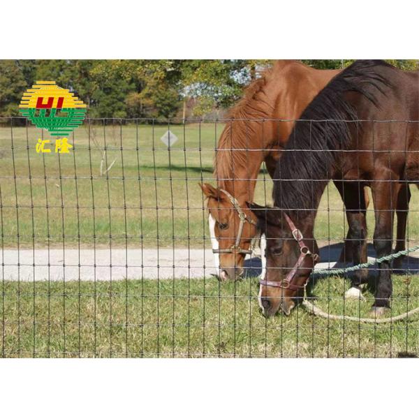 Окунутая ячеистая сеть животного сельского суставного сочленения фермы стальная ограждает горячее гальванизированный