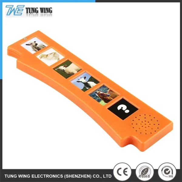 Customized Colorful Waterproof Printing Educational Toy with Sound Recording and Remote Control for Children's Learning