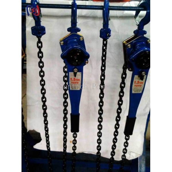 Heavy Duty Chain Type Handle Hoist with 5-90KN Rated Load 1.5M Lifting Height and 1-3 Row Lifting Chain for Power Plant Maintenance