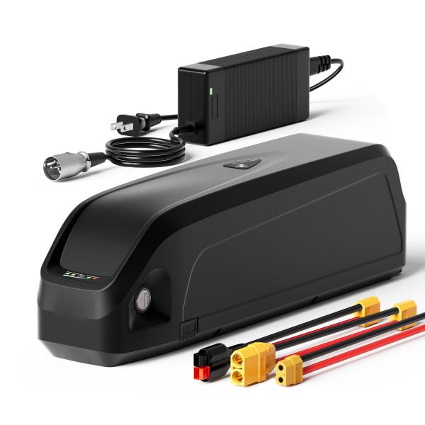 Hailong G70 Ebike Batteries 48V 20Ah Lithium ion Battery Pack For Electric Bicycle