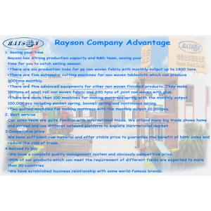 FOSHAN RUIXIN NON WOVEN CO.,LTD