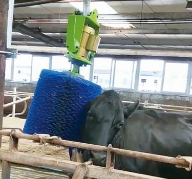 Máquina da escova da vaca de ECB160BL Dia45mm para a pele de limpeza