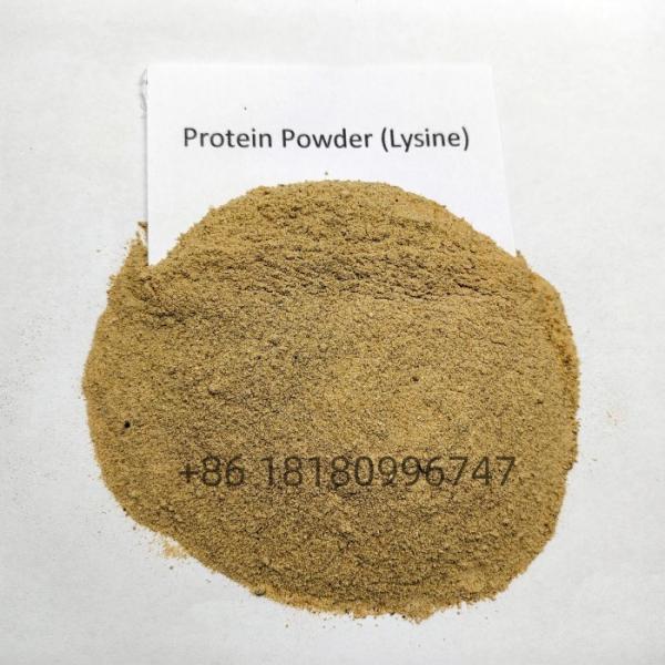 Alimento orgânico de zinco Aminoácido Quelado Zn para promover as células epiteliais intestinais dos animais