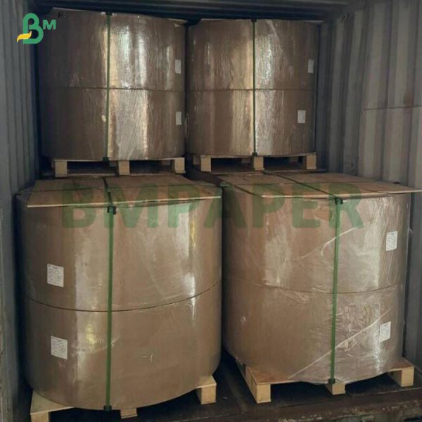 300gsm  Fold Resistance Cup Stock Paper Roll For Hot Drink Cups