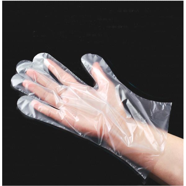 Non Sterile Polyethylene Disposable Gloves Disposable PE Gloves For Food