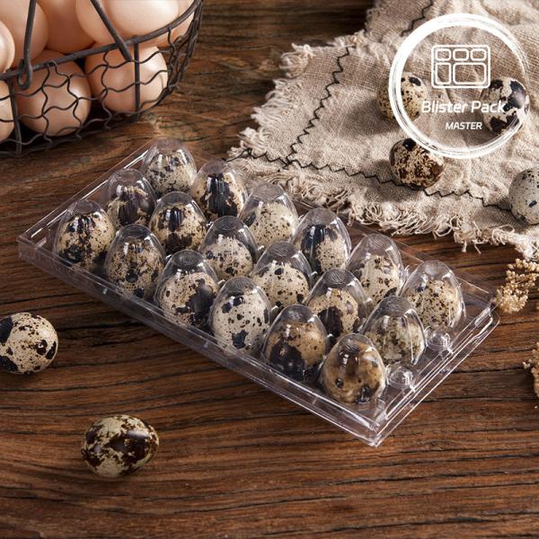 Affordable PET Clear Plastic Egg Trays with Lid 20 24 30 Cells for Disposable Quail
