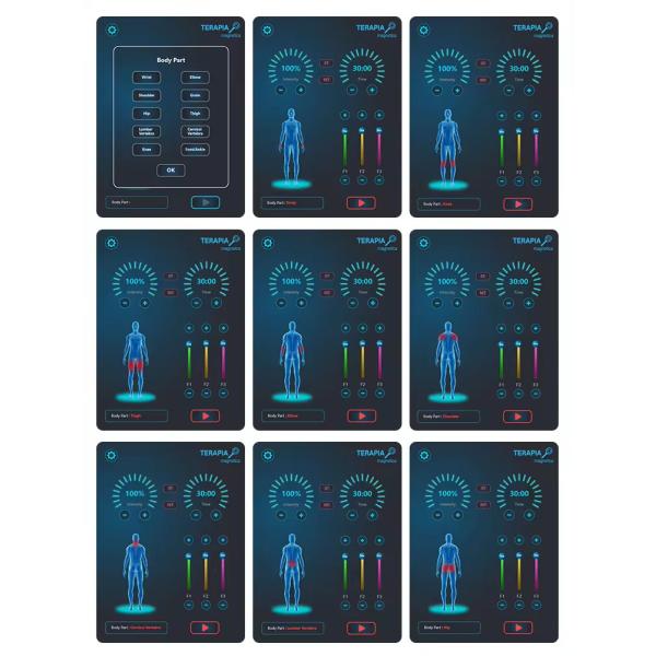 Magneto Therapy Degenerative Joint Diseases Physio Magnetotherapy Machine