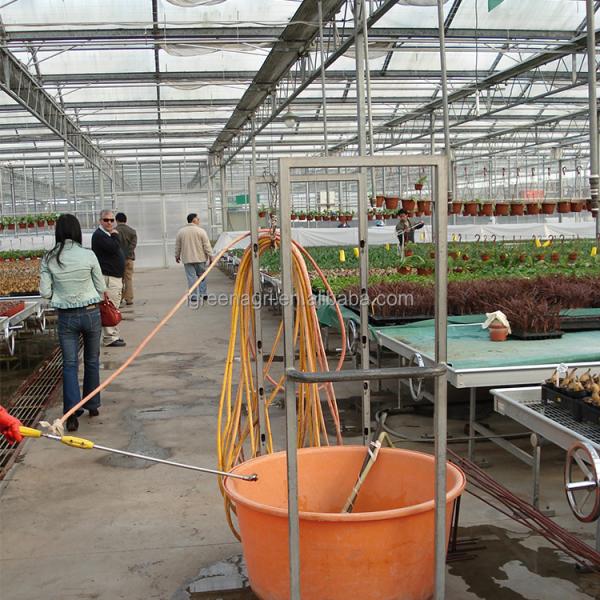 Backyard Multi Span Greenhouse Outdoor Rainproof Large Glass Greenhouse
