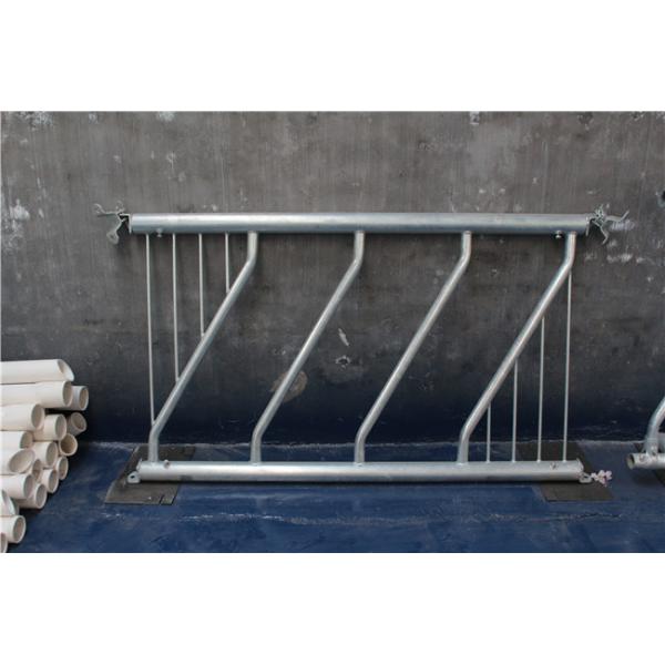 Silver Iron Cattle Feed Barriers Cow Farm Equipment Corrosion Resistance