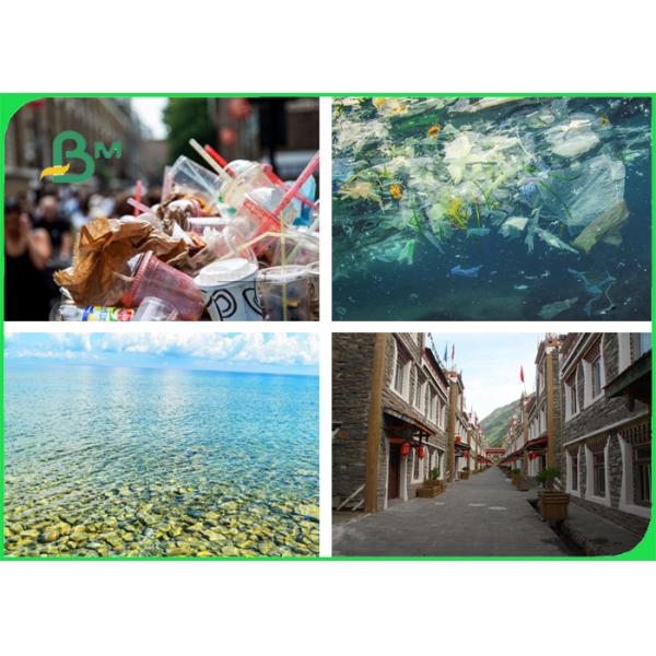 различная бумага выпивая соломы слон Ролльс и 15мм цветов 60гсм для партии